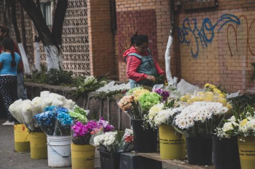 Dia muertos zacatecas ( (1)
