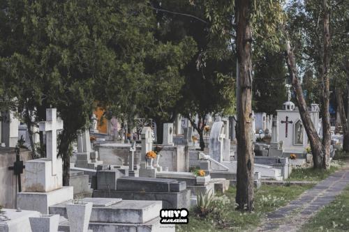 Dia muertos zacatecas (4)