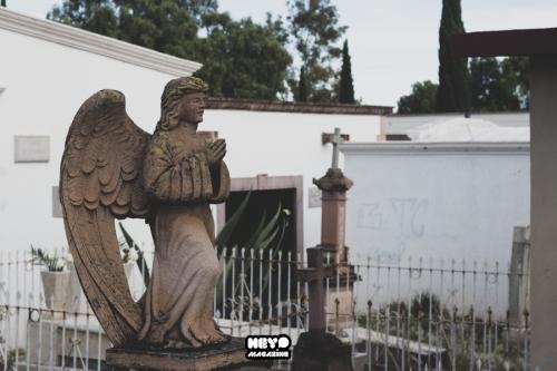 Dia muertos zacatecas (5)